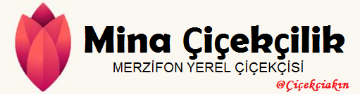 https://www.instagram.com/minacicekcilikmerzifon/